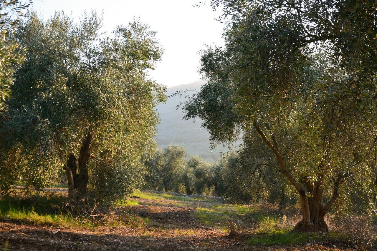 הוילה Carpino Torre Bruno מראה חיצוני תמונה