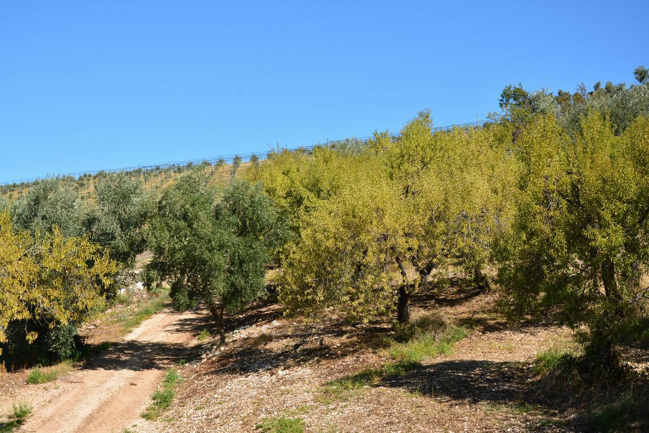 הוילה Carpino Torre Bruno מראה חיצוני תמונה